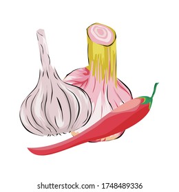 
vector garlic, onion, chilli, kitchen seasoning illustration