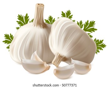 Vector. Garlic with parsley.