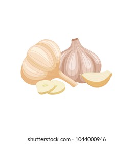 Vector garlic. Set of bulbs, whole and sliced garlic cloves isolated on white background.