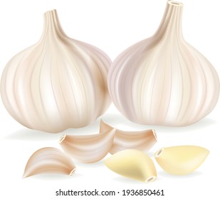 Vector Garlic. Sliced Garlic Cloves Isolated On White Background.illustration Vector