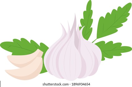 Ajo vectorial. Ilustración vegetal para el menú del mercado agrícola. Diseño de alimentos saludables