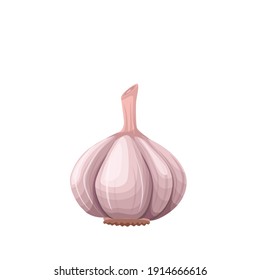 Vector garlic. Vegetable illustration for farm market menu. Healthy food design