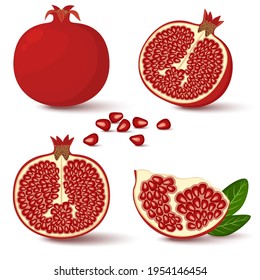 Vector garnet. Whole, half and pomegranate seeds isolated on white background. Illustration in the cartoon style.