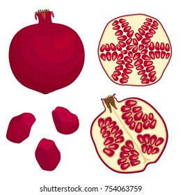 Vector garnet. Whole, half and pomegranate seeds isolated on white background. Illustration in the cartoon style.