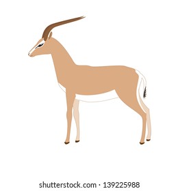 Vector gazelle isolated on white