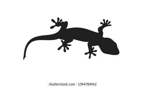 3,905 Gecko Foot Images, Stock Photos & Vectors | Shutterstock