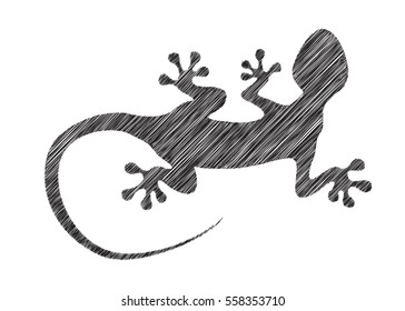 Vector gecko in pencil drawing style