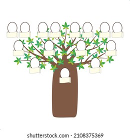 Vector genealogy tree. Vector baobab