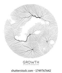 Vector generative branch growth pattern. Round texture. Lichen like organic structure with veins. Monocrome square biological net of vessels.