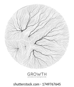 Vector generative branch growth pattern. Round texture. Lichen like organic structure with veins. Monocrome square biological net of vessels.