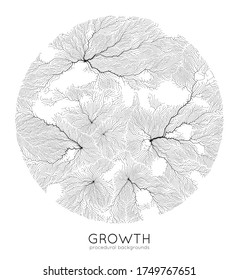 Vector generative branch growth pattern. Round texture. Lichen like organic structure with veins. Monocrome square biological net of vessels.