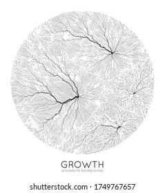 Vector generative branch growth pattern. Round texture. Lichen like organic structure with veins. Monocrome square biological net of vessels.