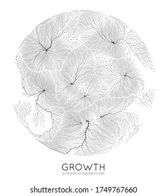 Vector generative branch growth pattern. Round texture. Lichen like organic structure with veins. Monocrome square biological net of vessels.