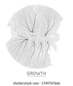 Vector generative branch growth pattern. Round texture. Lichen like organic structure with veins. Monocrome square biological net of vessels.