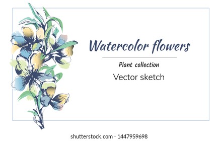 Vector gentle flowers on a white background. Text frame with watercolor flowers for greeting and invitation. Vector illustration