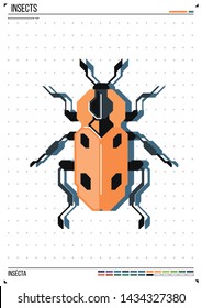 Vector geometric bug or beetle. Insect on poster background. Ideal for print, greeting card, nursery poster.