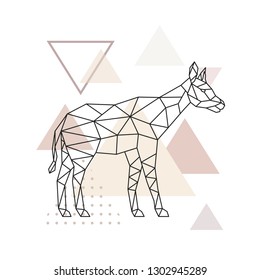 Vector geometric Okapi. Polygonal Okapi illustration on abstract triangular background. 