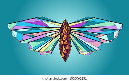 Vector geometrical abstract moth