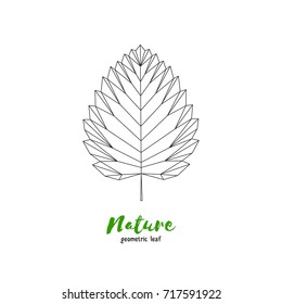 Vector geometrical birch leaf. Illustration for greeting cards, invitations, and other printing projects.
