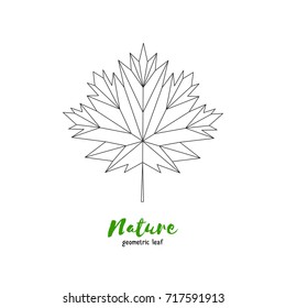 Vector geometrical maple leaf. Illustration for greeting cards, invitations, and other printing projects.