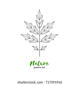 Vector geometrical rowan leaf. Illustration for greeting cards, invitations, and other printing projects.