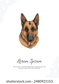 Vector German Shepherd wall. realistic drawing animal. realistic drawing animal. Hand drawn Dog isolated on white background.