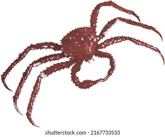 Vector of a giant crab seen from above - Giant red crab vector 