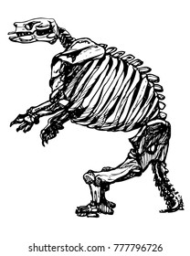Vector giant ground sloth skeleton. Bones of extinct californian animal. Ink drawing of sloth fossils