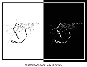 a vector of giant river prawn silhouette in black and white background