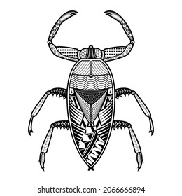 Vector giant water bug of hand drawn insects illustrations. Abstract black coloring book.