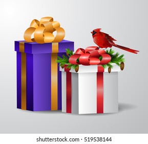 Vector gift box illustration