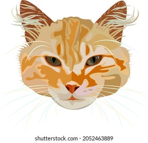 Vector ginger cat. Portrait of a cat. Colorful cat head icon.