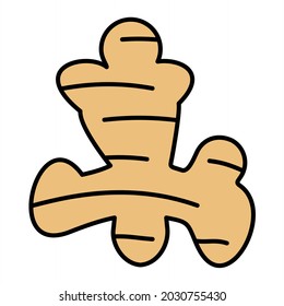  Vector Ginger Filled Outline Icon Design
