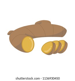 Vector ginger illustration isolated in cartoon style. Herbs and Species Series