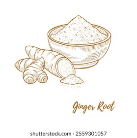 Vector ginger root and ginger powder line art illustration, graphic line ginger. Ginger powder in the bowl. Engraving. Ingredient. Great for any designs, textile, packaging