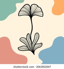 Vector ginkgo biloba leaf, botanical drawing background. Hand drawn style.