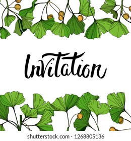 Vector Ginkgo green leaf. Plant botanical garden floral foliage. Engraved ink art. Frame border ornament square on white background.