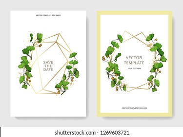 Vector Ginkgo hoja verde. Planta vegetal de jardín botánico follaje floral. Arte con tinta grabada. Borde decorativo floral de la tarjeta de fondo de boda. Cartel de juego de gráficos de ilustraciones de tarjetas elegantes de invitación.