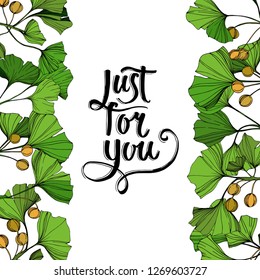 Vector Ginkgo green leaf. Plant botanical garden floral foliage. Engraved ink art. Frame border ornament square on white background.
