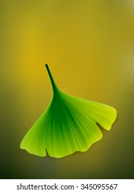 vector ginkgo leaf