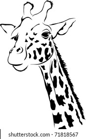 vector giraffe