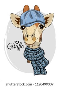 Vector giraffe with blue cap and knitted blue scarf. Hand drawn illustration of dressed camelopard.