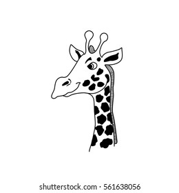 Vector giraffe head. Black and white giraffe