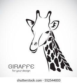 Vector of a giraffe head on white background, Wild Animals.