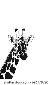 Vector of a giraffe head on white background, Wild Animals.