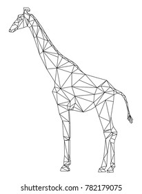 vector - giraffe  isolate on background