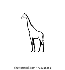 Vector giraffe silhouette view side for retro logos, emblems, badges, labels template vintage design element. Isolated on white background