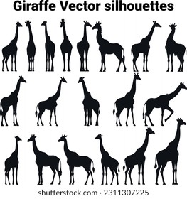 Vector Giraffes in single color silhouette