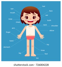 Carácter vectorial de chica que muestra partes del cuerpo con vocabulario sobre fondo azul.