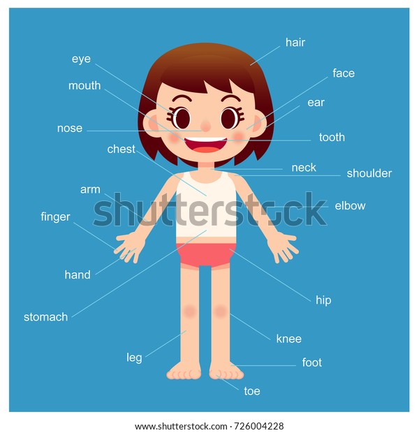 Vector Girl Character Showing Parts Body Stock Vector (Royalty Free ...